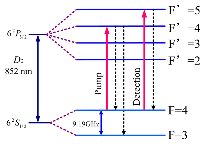 Pumping and detection states of caesium